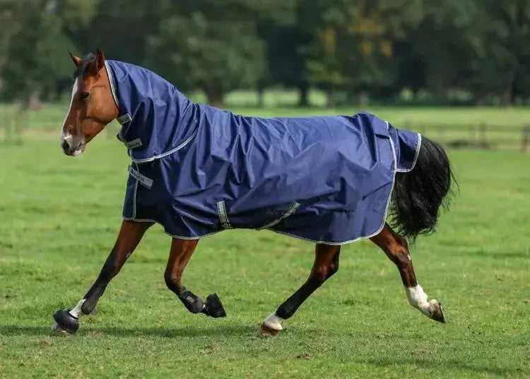 derka-bucas-freedom-100g-neck-navy